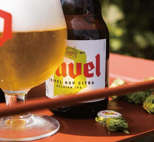 督威三花啤酒 商品图1