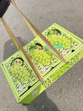 三合一精品晴王葡萄礼盒