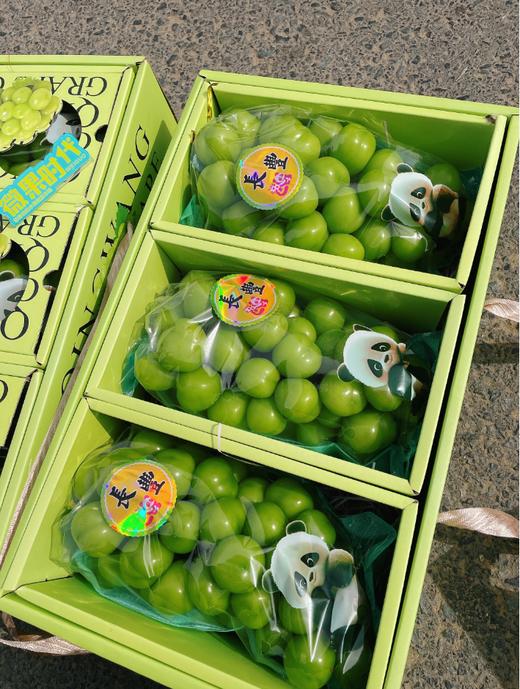 三合一精品晴王葡萄礼盒 商品图4