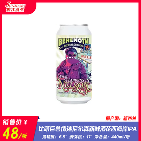 比萌巨兽情迷尼尔森新鲜酒花西海岸IPA 酒精度：6.5° 麦芽度：17°