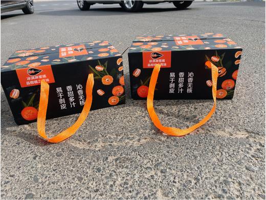 冰淇淋蜜桔礼盒 商品图1