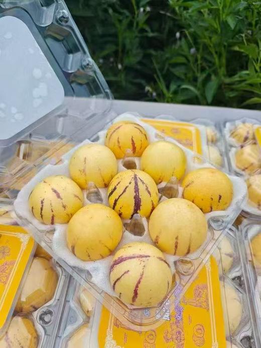 风化石人参果（9个装） 商品图0