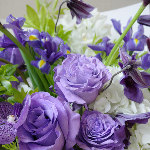 时间漫游 Temporal Wander 商品图1