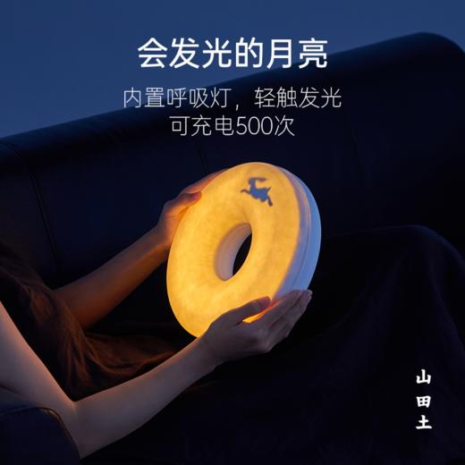 山田土 超级月亮 福鼎荒野寿眉白茶云南易武熟普纯茶礼盒 商品图1