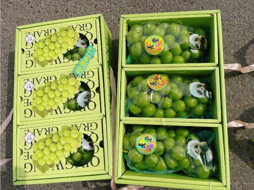 三合一精品晴王葡萄礼盒 商品图3
