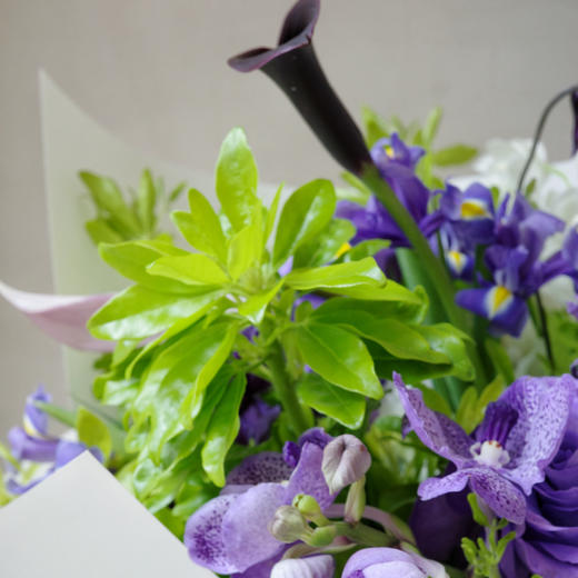 时间漫游 Temporal Wander 商品图2