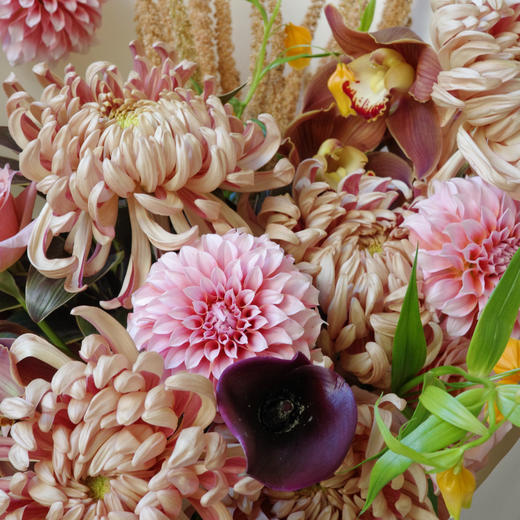 弥弥秋色 Amber Glow 商品图3