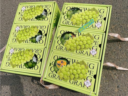 三合一精品晴王葡萄礼盒 商品图1