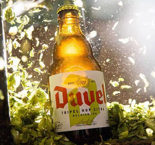 督威三花啤酒 商品图0