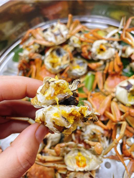 盘锦小小河蟹3斤 商品图2