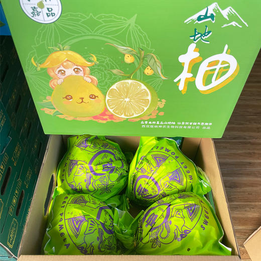 傣柚礼盒 4个装 商品图0