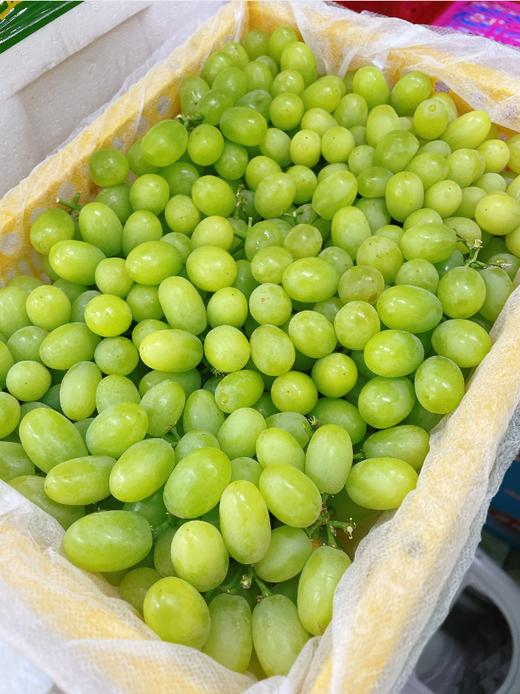 小蜜蜂葡萄一箱 商品图2