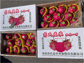 高氏益农火龙果礼盒