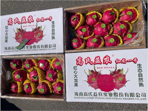 高氏益农火龙果礼盒 商品图0