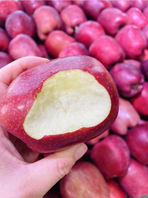 花牛苹果3斤 商品图1