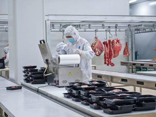 【青藏珍宝】高端全配！如牧牦牛藏羊肉高端礼盒！来自雪域高原的馈赠，稀有珍贵，高端年货/商务礼赠典范！ 商品图10