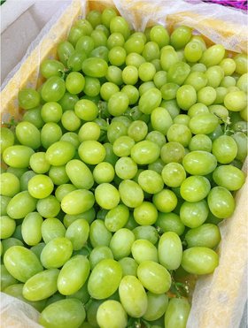 小蜜蜂葡萄一箱