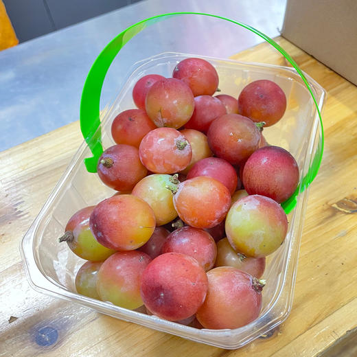 半山妮娜皇后（盒）约1kg/盒 商品图1