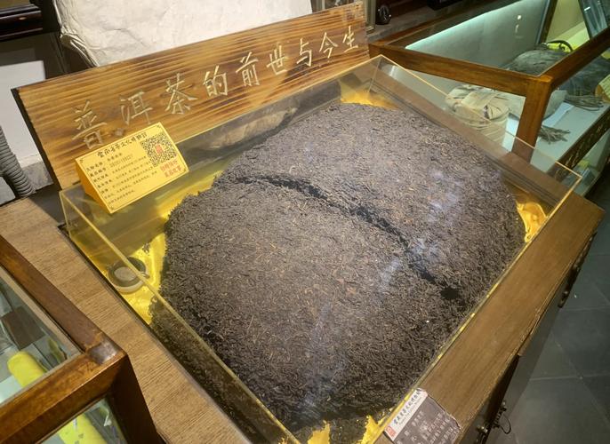 云南中老期普洱茶