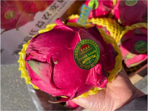 高氏益农火龙果礼盒 商品图2