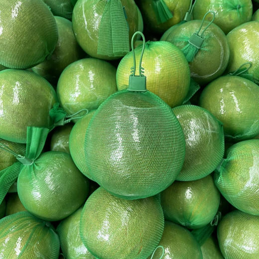 【翡翠红心柚】柚中爱马仕无酸涩多汁清甜柚香浓郁 商品图3