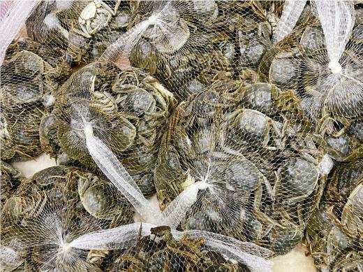 盘锦小小河蟹3斤 商品图0