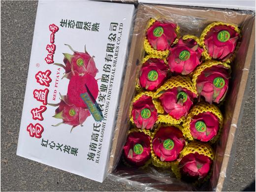 高氏益农火龙果礼盒 商品图1