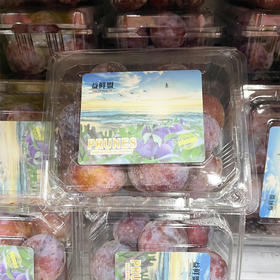 国产新疆西梅（盒）380g/盒