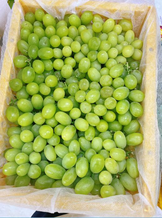 小蜜蜂葡萄一箱 商品图1