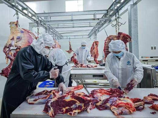 【青藏珍宝】高端全配！如牧牦牛藏羊肉高端礼盒！来自雪域高原的馈赠，稀有珍贵，高端年货/商务礼赠典范！ 商品图7