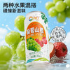 九日大果肉果汁饮料490ml 商品缩略图3