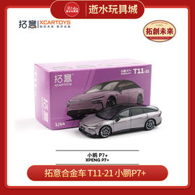 拓意合金车   T11-21     小鹏P7+