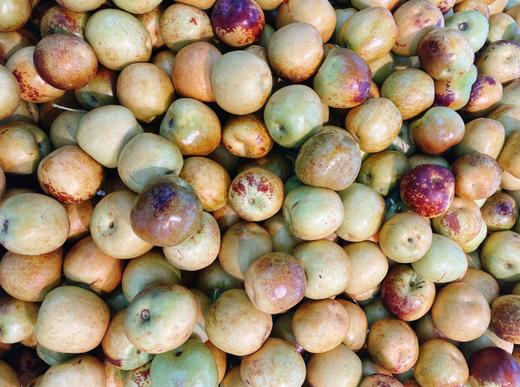 巨无霸冰糖脆枣2斤 商品图1