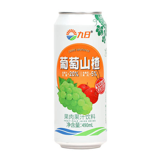 九日大果肉果汁饮料490ml 商品图1