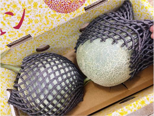 2粒网纹蜜瓜一箱 商品图0
