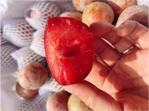 西瓜李子一斤 商品图3