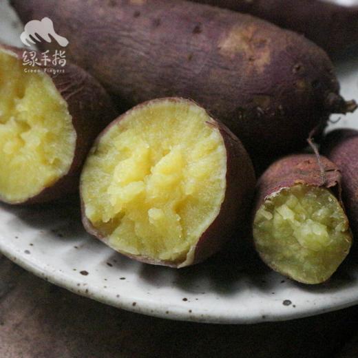 生态紫薯/黄金蜜薯（中通） | 合作生产 *Ecological Purple Potato | Partner Production 商品图4