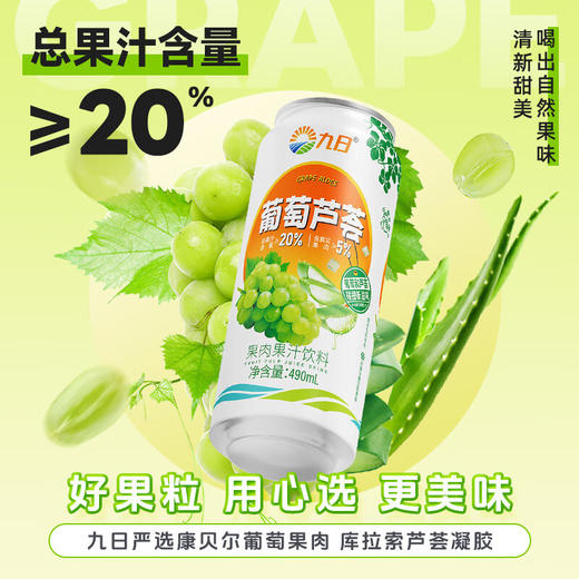 九日大果肉果汁饮料490ml 商品图4