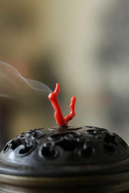 精致定制款铜香炉 铜+血檀 商品图5