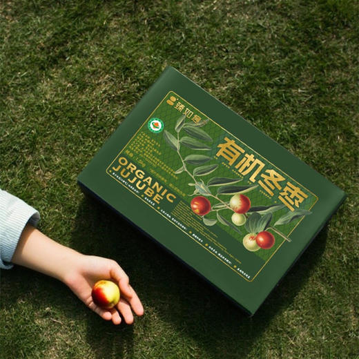 臻如意沙漠有机冬枣 1.5kg/盒  厂家直发全国包邮配送配送（偏远地区除外） 商品图1