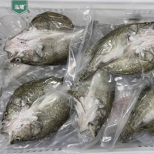 广东清新桂花鱼-泓珺清新桂花鱼（3条装）400-449克/条 商品图4