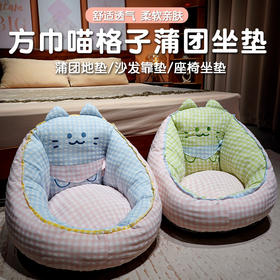 自然醒三维立体PP棉方巾喵格子蒲团坐垫QYL