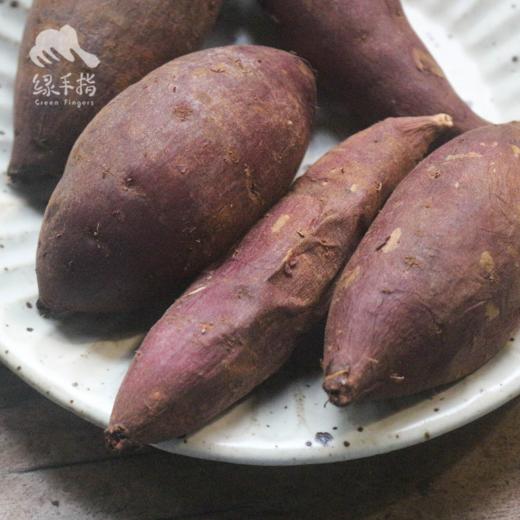 生态紫薯/黄金蜜薯（中通） | 合作生产 *Ecological Purple Potato | Partner Production 商品图5