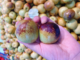 巨无霸冰糖脆枣2斤