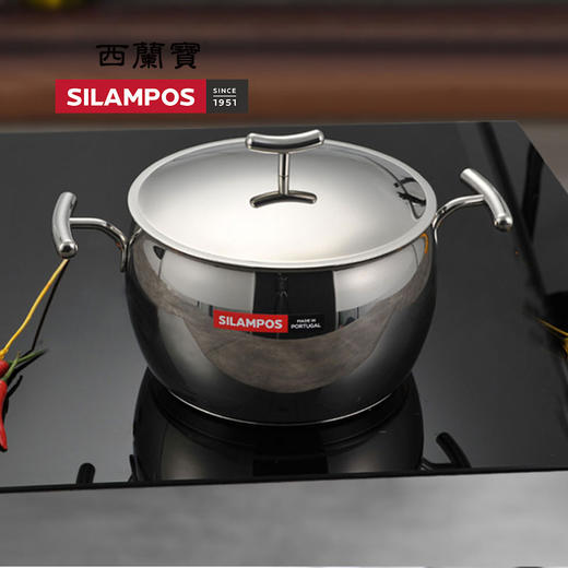 西兰宝悠米高汤锅 20cm×13.1cm 商品图0