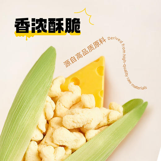 奶酪计划干酪酥酥倍浓芝士味65g 商品图5