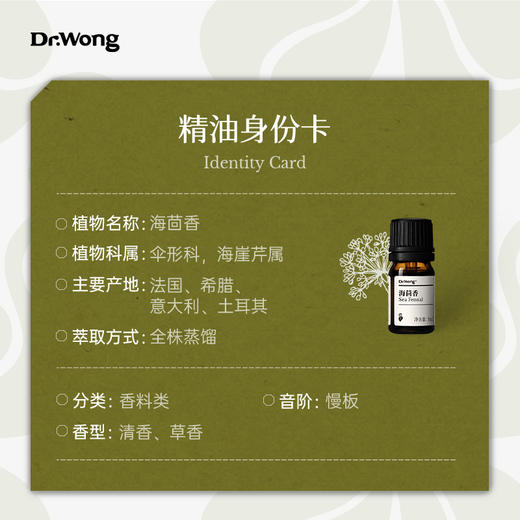 海茴香 单方精油 商品图2