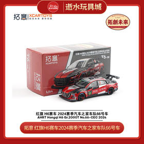 拓意   T6-38  红旗H6赛车2024赛季汽车之家车队66号车