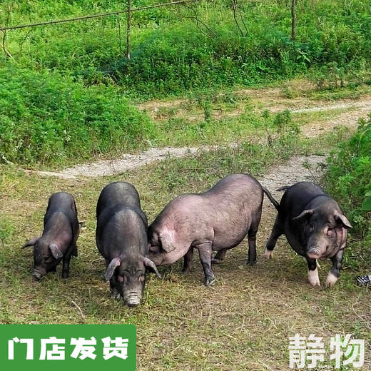 【冷冻肉】贵州黔东南散养黑猪肉🐖 商品图0