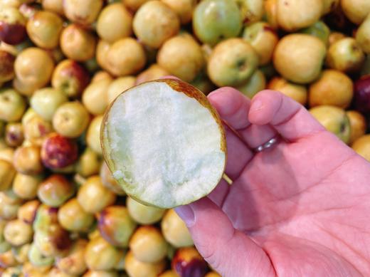 巨无霸冰糖脆枣2斤 商品图2